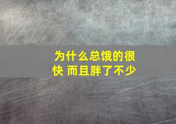 为什么总饿的很快 而且胖了不少